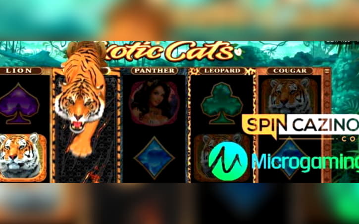 425% Match bonus casino at Kaboo Casino