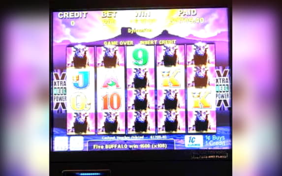 $975 Mobile freeroll slot tournament at BGO Casino