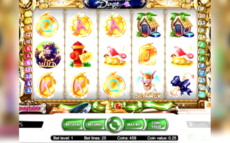 320% Match Bonus Casino at Party Casino