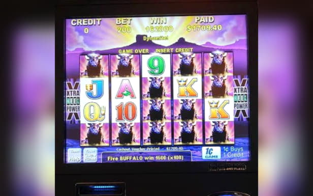 230 Free Spins right now at Vera and Jhon Casino