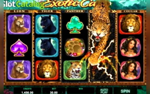 €355 FREE Chip Casino at Spinrider Casino