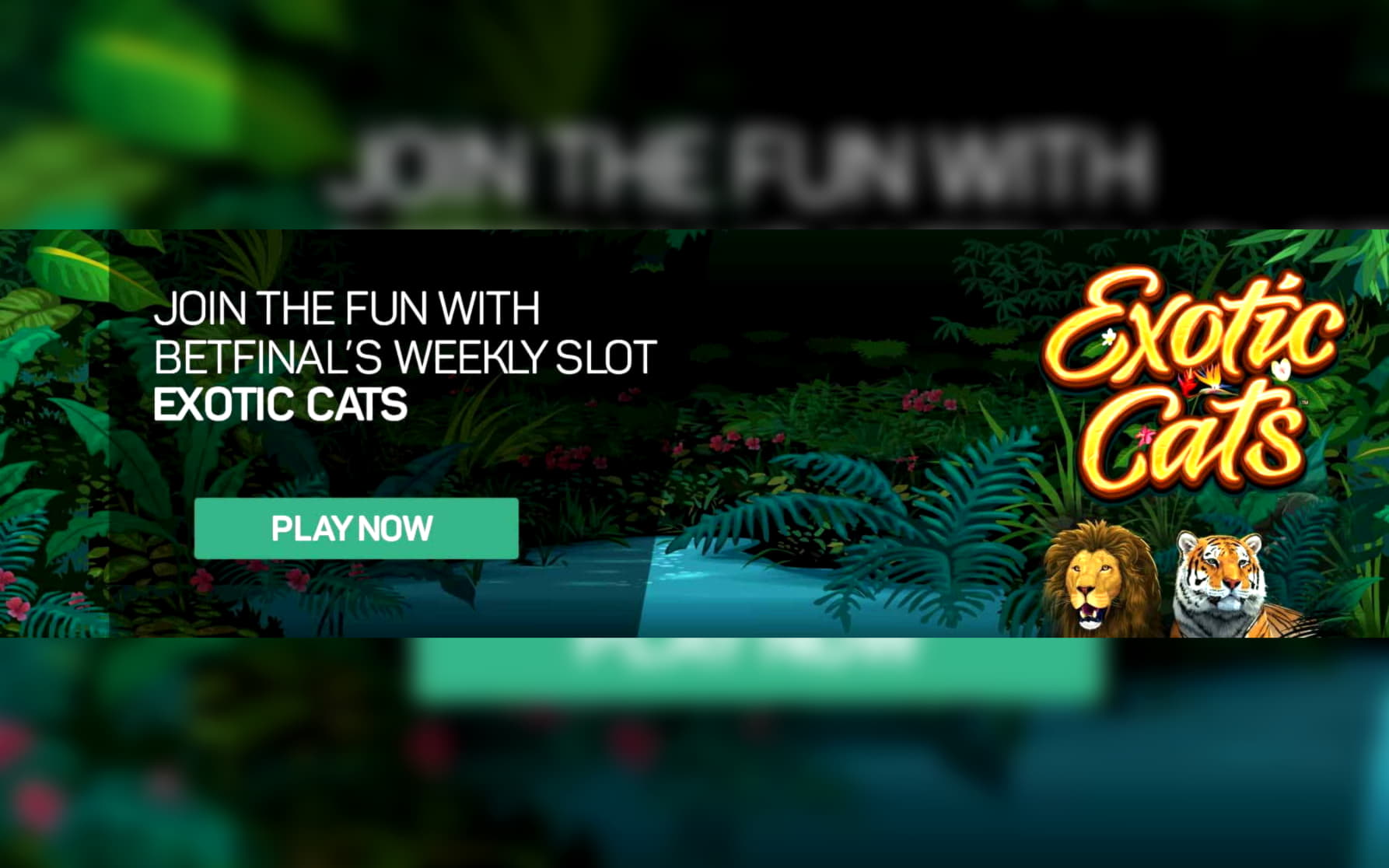 Eur 225 Free Chip at Sloty Casino