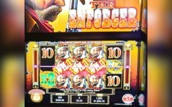 55 free spins no deposit casino at Vera and Jhon Casino