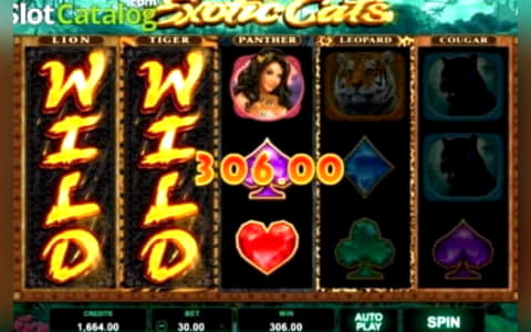 €2775 No deposit bonus casino at Genesis Casino