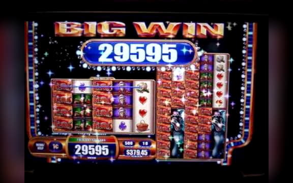 300 Free spins no deposit casino at Jet Bull Casino