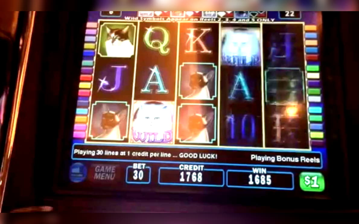 Eur 165 No Deposit Bonus Casino at 777 Casino