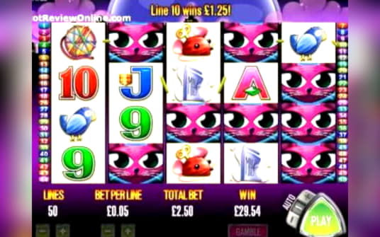 $805 Casino Tournament at Gamebookers Casino