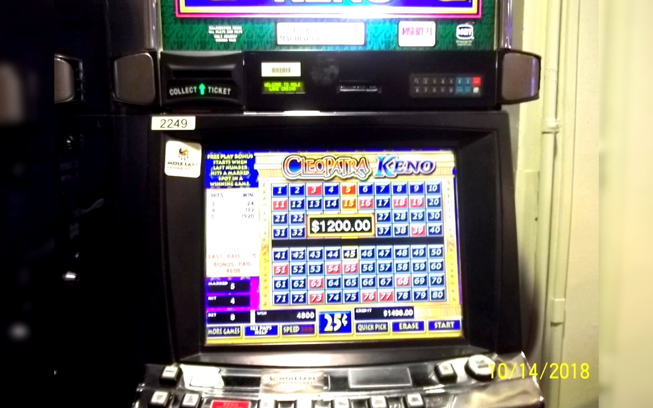 210 FREE SPINS at Leo Dubai Casino
