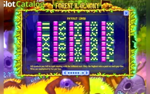 $430 casino chip at Vera and Jhon Casino