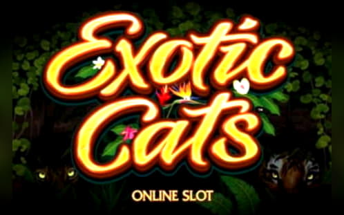 865% Best signup bonus casino at Jet Bull Casino