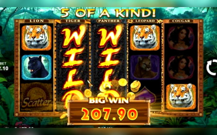EUR 215 Tournament at High Roller Casino