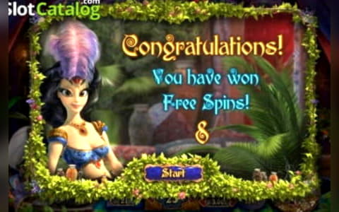 325% Best signup bonus casino at Vera and Jhon Casino