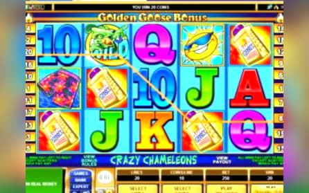 Eur 540 casino chip at Spinrider Casino