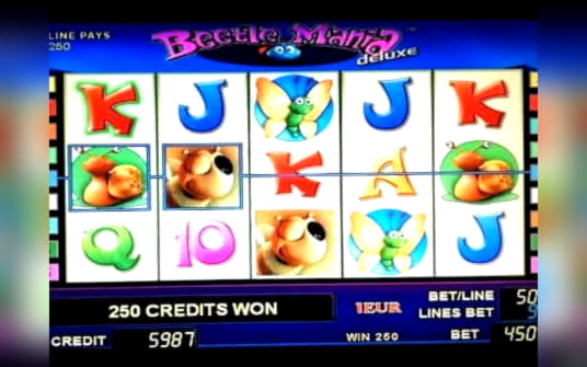 €555 FREE Chip Casino at Rizk Casino