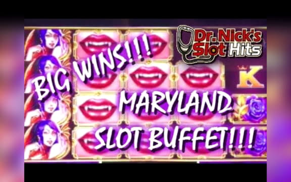 615% Best signup bonus casino at Rizk Casino
