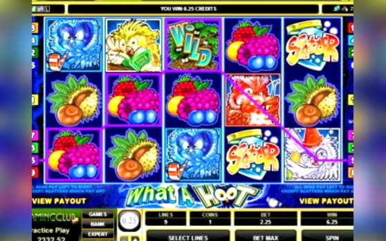 75 free spins no deposit casino at William Hill Casino