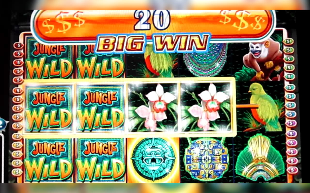 ﻿$720 Daily freeroll slot tournament at Leo Dubai Casino