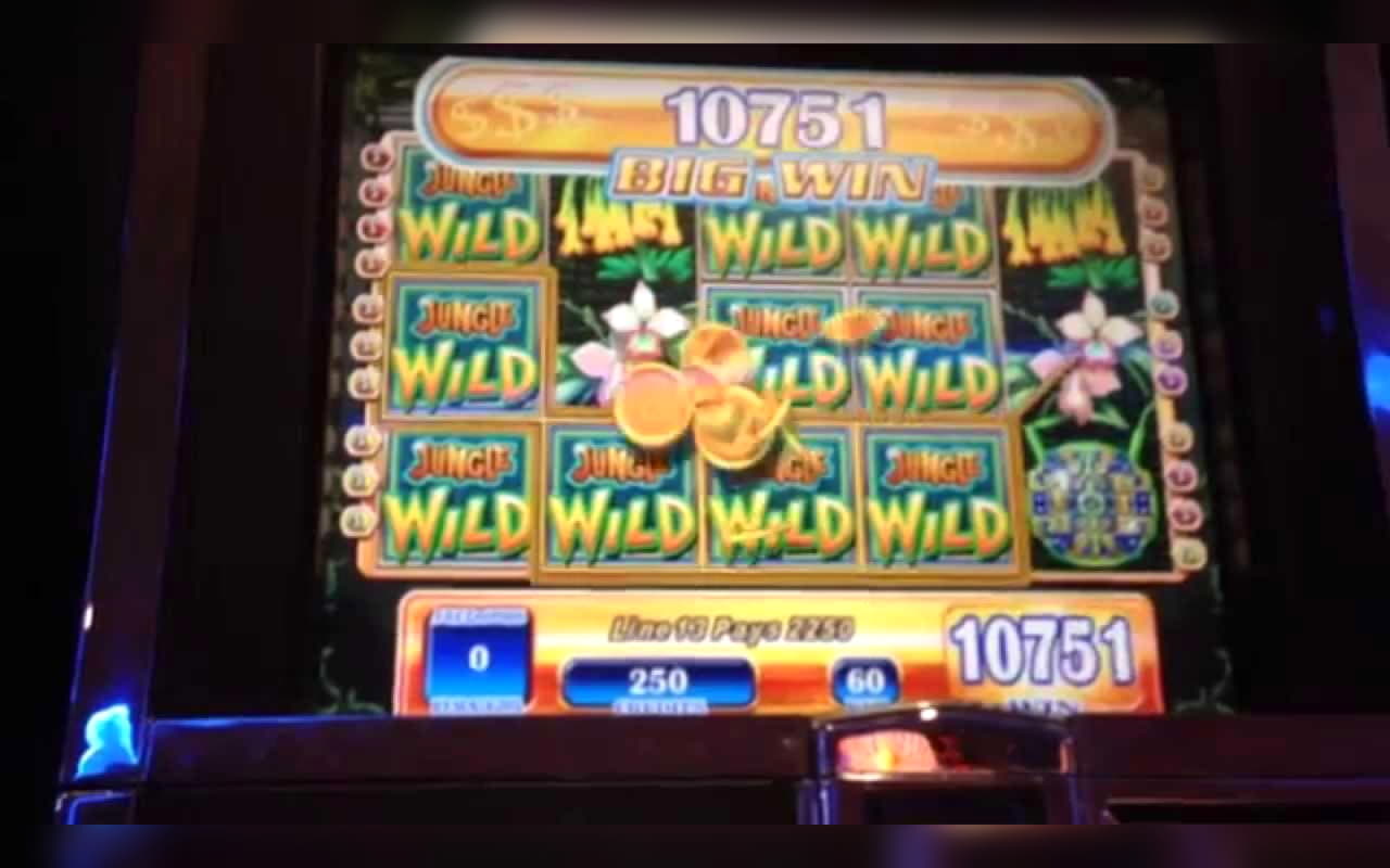 EUR 4590 no deposit bonus casino at 7 Sultans Casino