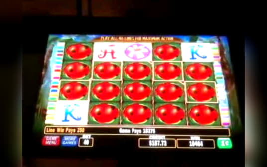 550% Casino Welcome Bonus at Kaboo Casino