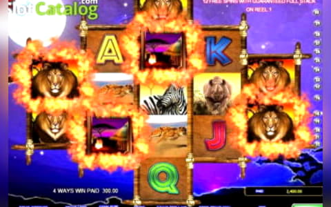 135% Signup casino bonus at Vera and Jhon Casino