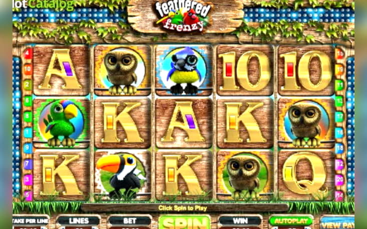 30 FREE SPINS at Leo Dubai Casino