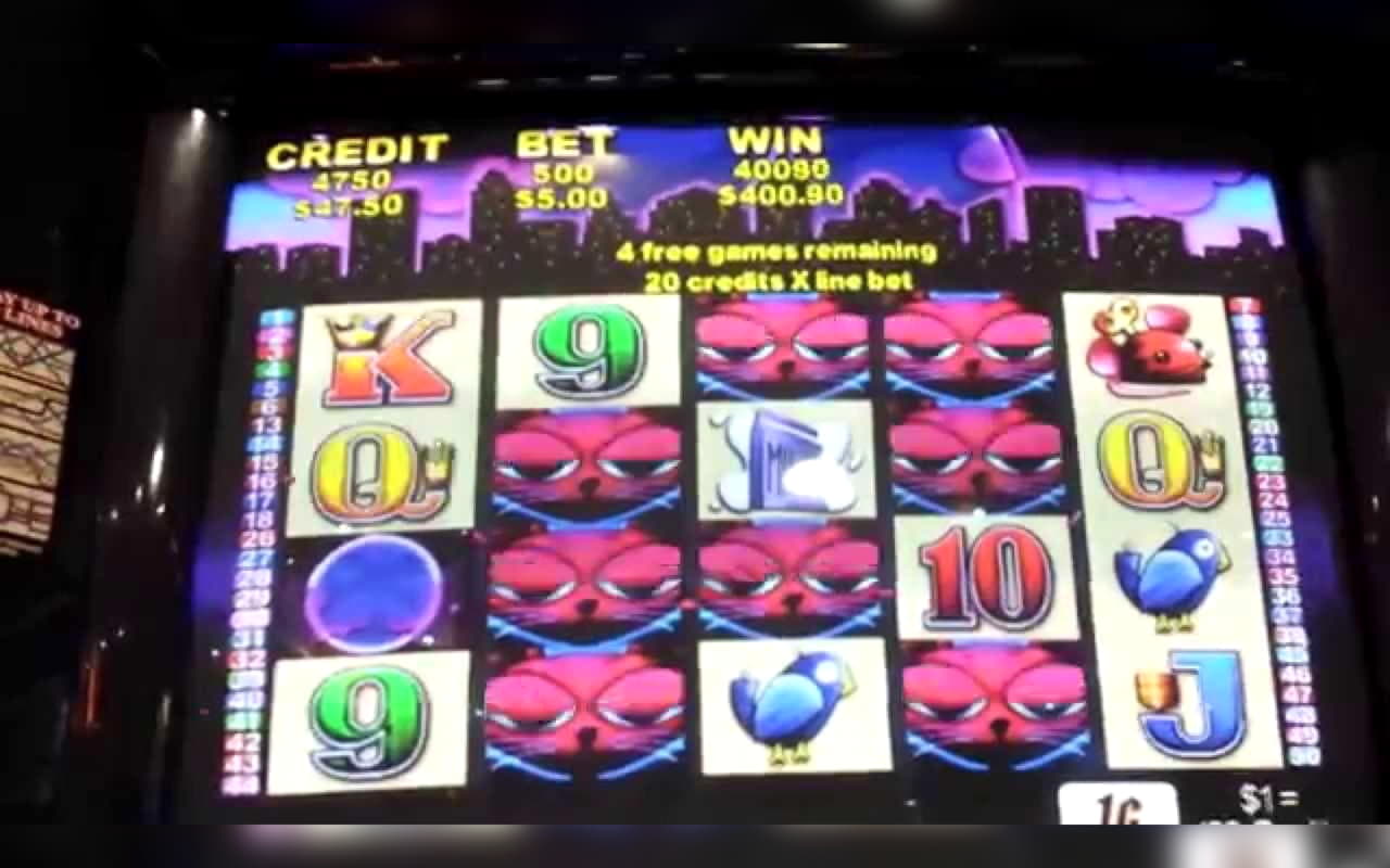 690% Match at a casino at BGO Casino