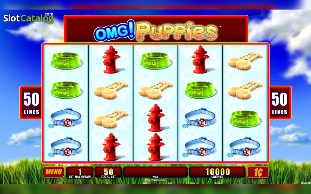 710% No Rules Bonus! at Rizk Casino