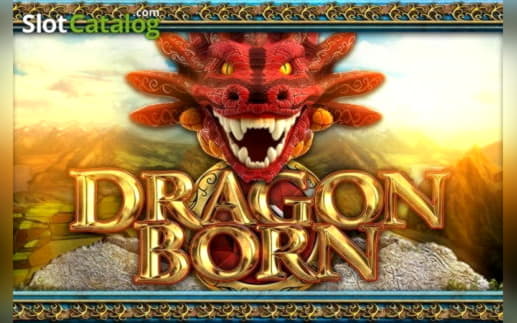 420% Match Bonus Casino at Rizk Casino