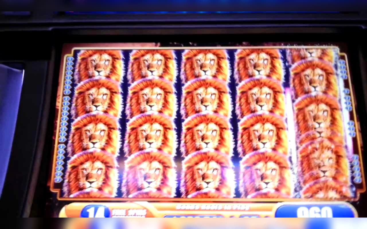 €635 Casino Tournament at Leo Dubai Casino