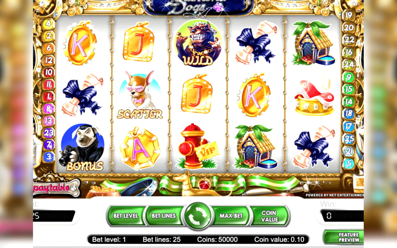 70 Loyalty Free Spins! at Spinrider Casino