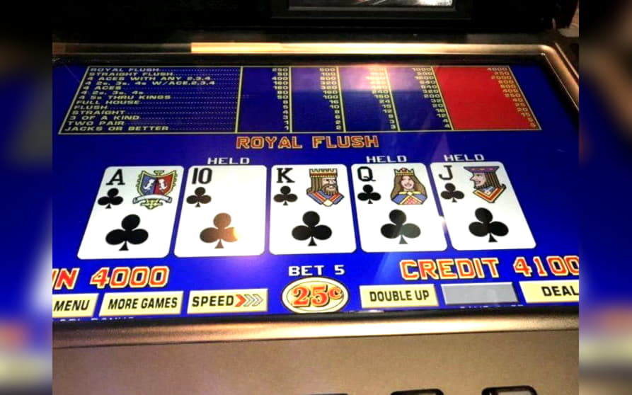 €610 free casino chip at Rizk Casino