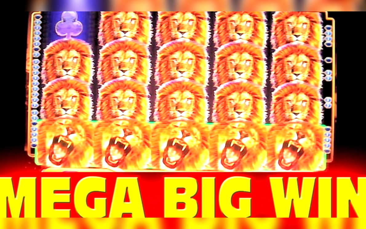 245 Free Casino Spins at Spinrider Casino