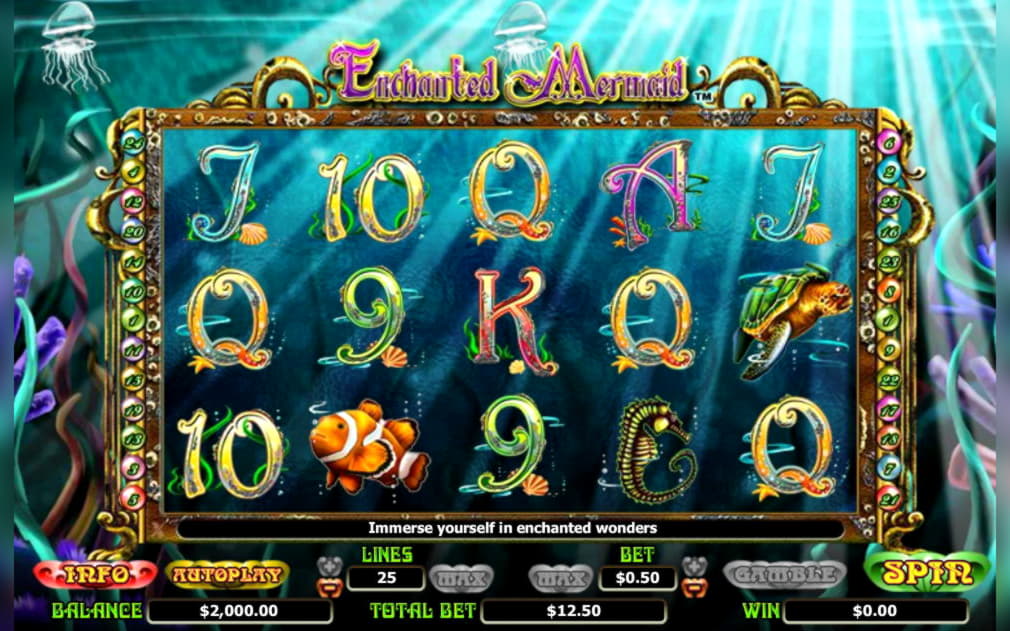 615% First Deposit Bonus at Spinrider Casino