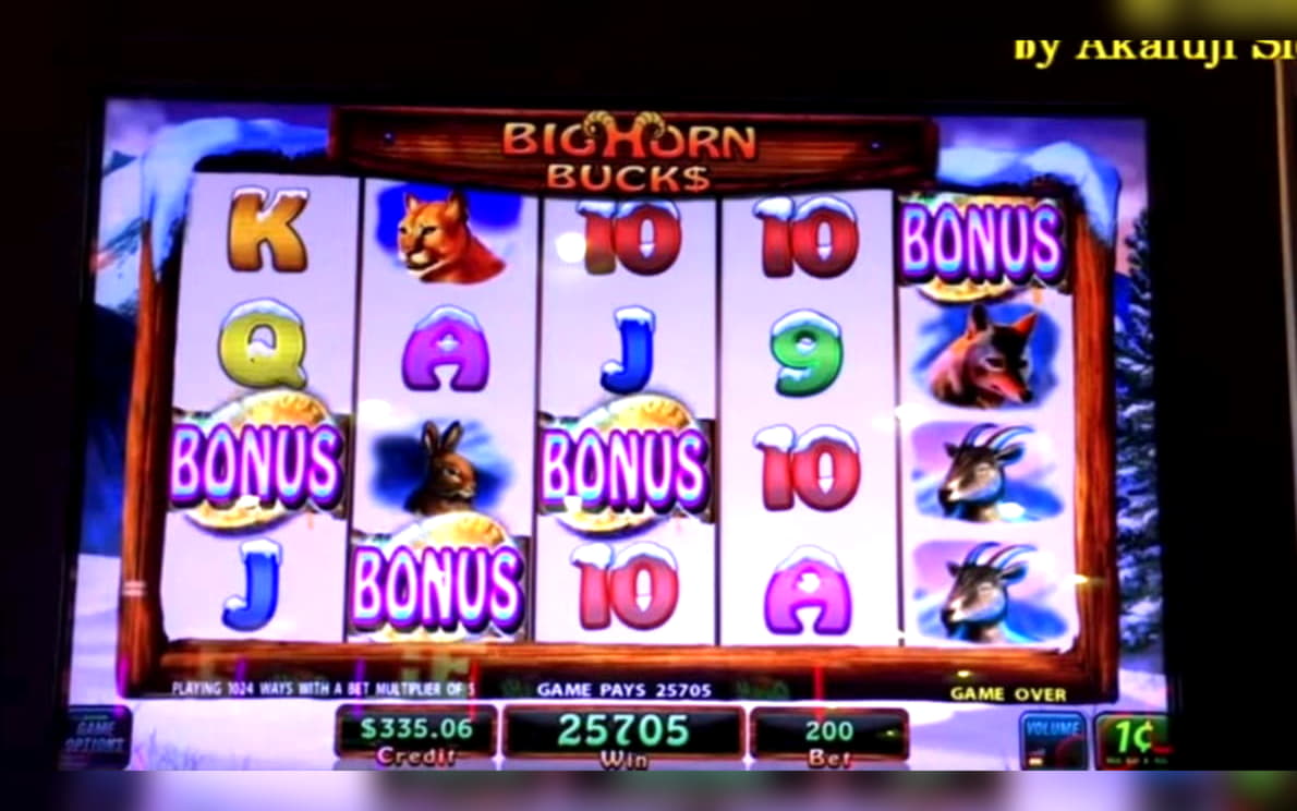 155 Loyal Free Spins! at Betway Casino