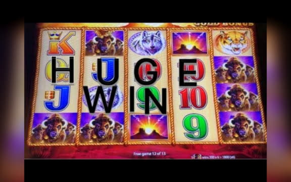 EURO 505 Casino Tournament at Genesis Casino