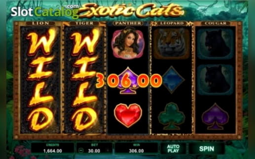 €665 Free Casino Tournament at 888 Casino