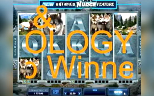 605% Deposit Match Bonus at BGO Casino