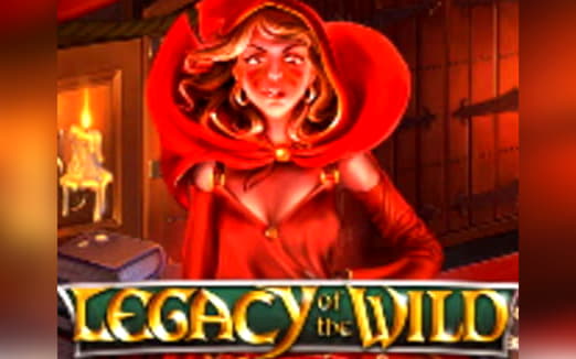 Eur 855 Daily freeroll slot tournament at BGO Casino