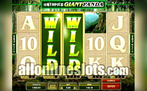 995% Match bonus at High Roller Casino