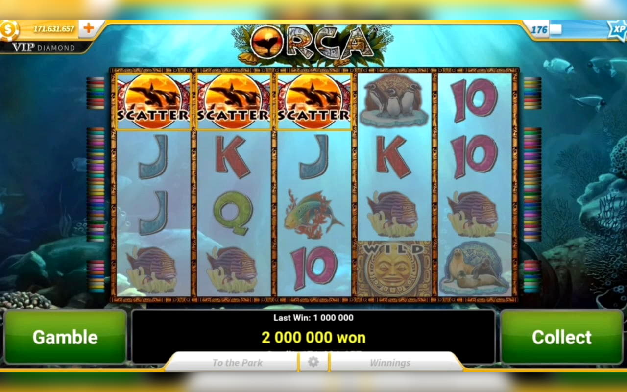 €125 Daily freeroll slot tournament at Spinrider Casino