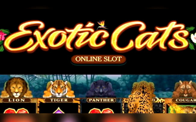 EUR 33 Casino tournaments freeroll at William Hill Casino