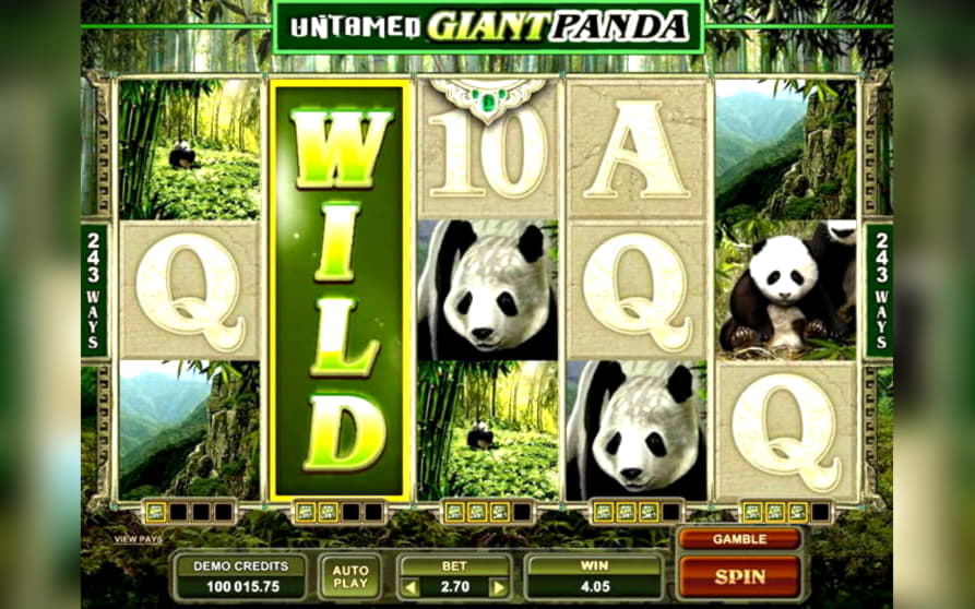 $690 free chip casino at Leo Dubai Casino