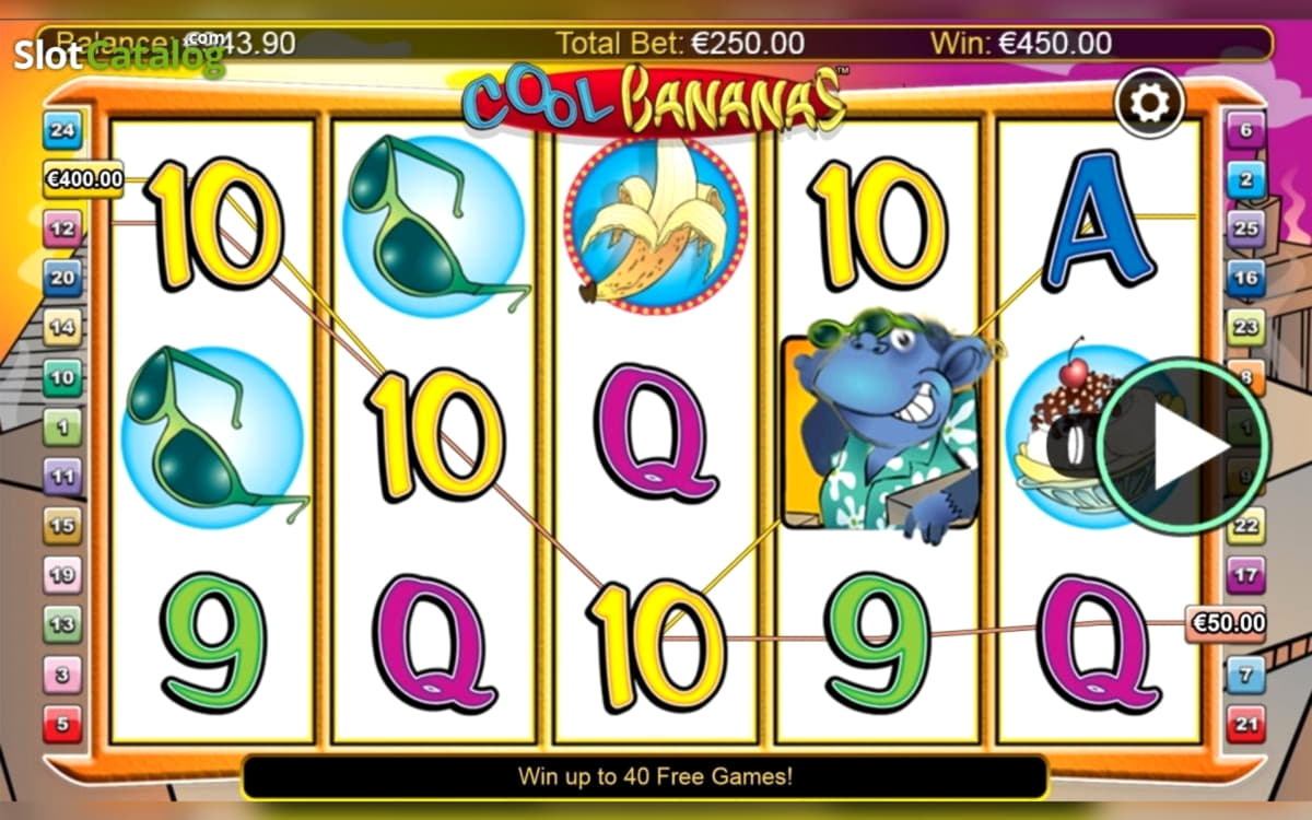$315 Tournament at Rizk Casino