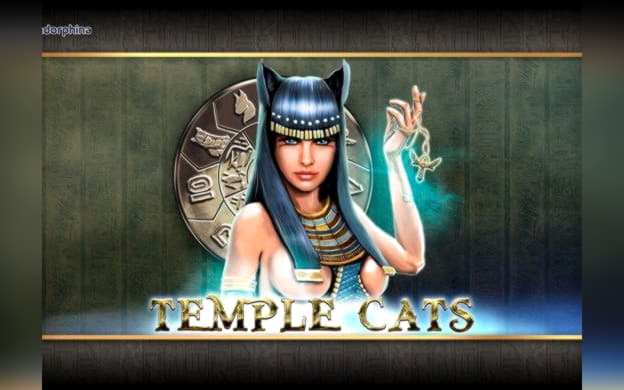 960% First Deposit Bonus at Spinrider Casino