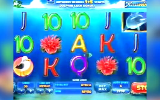 EUR 1275 No Deposit at Leo Dubai Casino