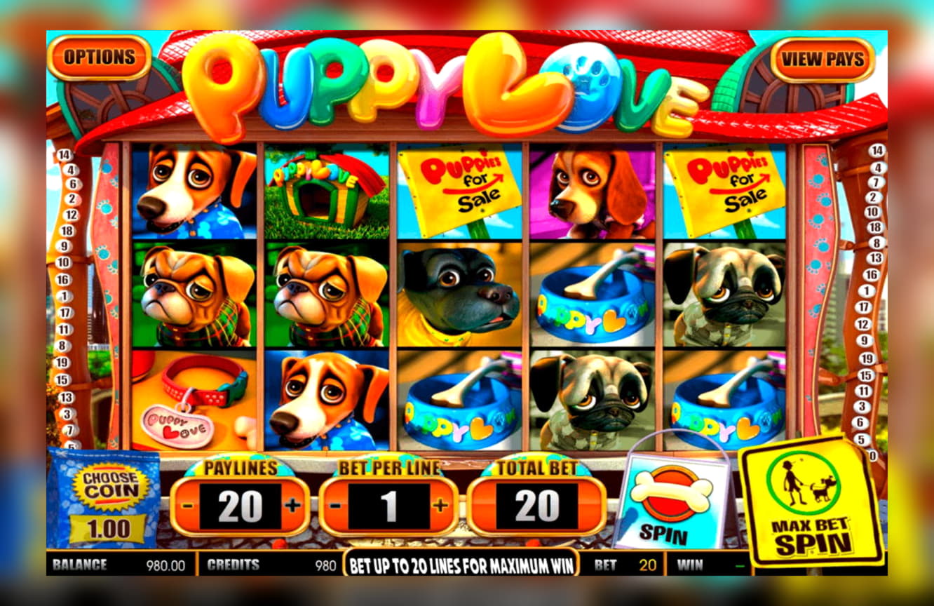 $620 Daily freeroll slot tournament at Leo Dubai Casino