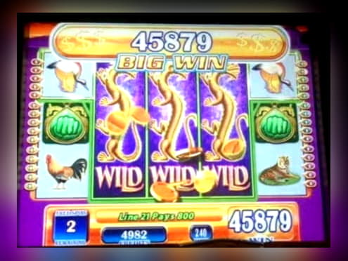 Eur 1565 no deposit casino bonus at Slots Million Casino