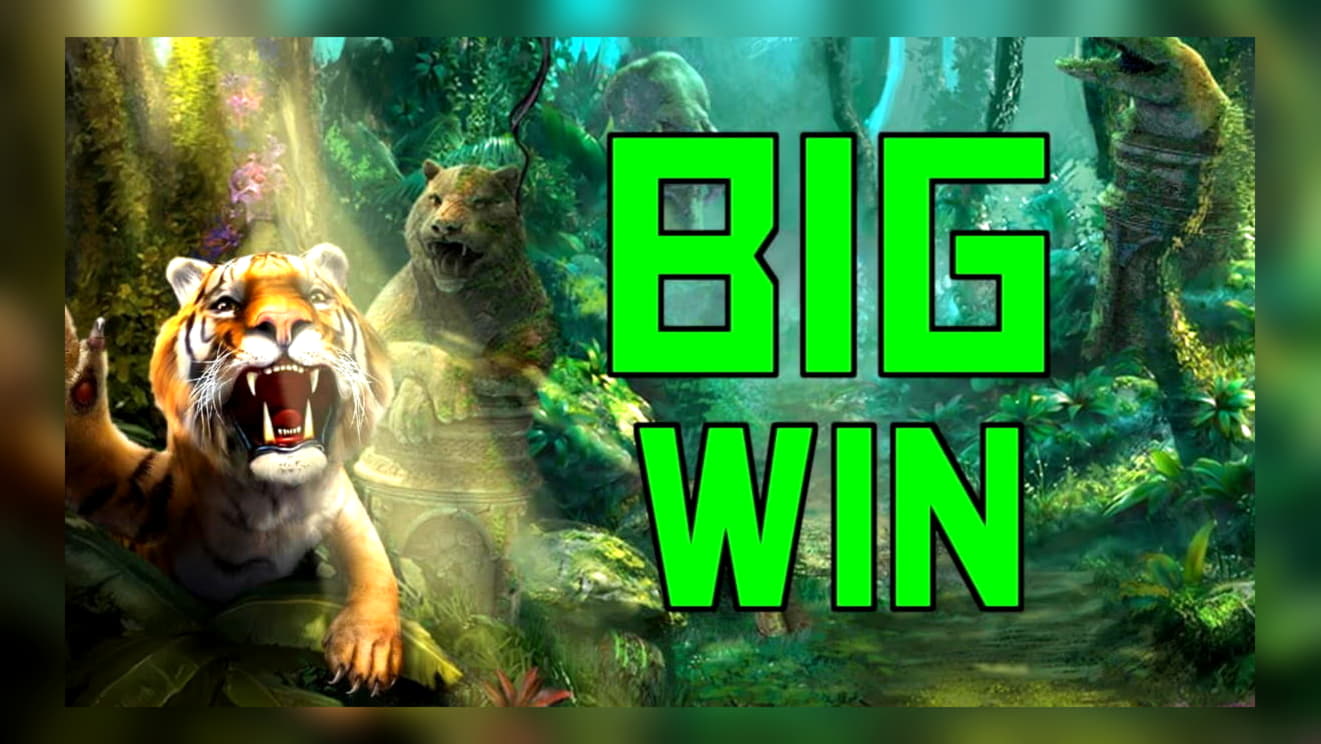 245 free spins casino at Genesis Casino
