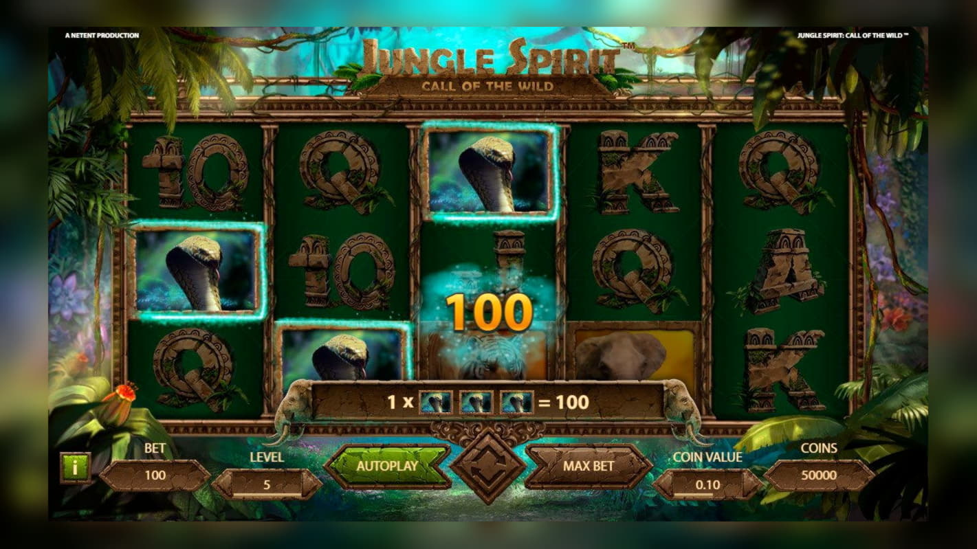 295 Free spins no deposit casino at Rizk Casino