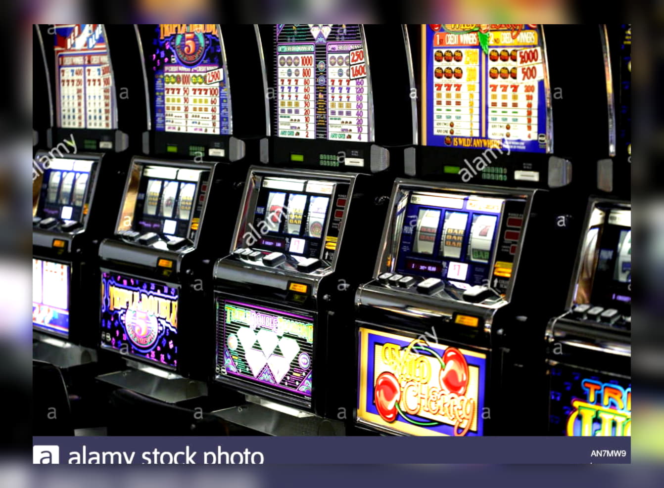 25 free spins casino at Vera and Jhon Casino